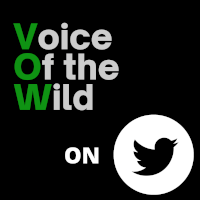 Voice Of the Wild